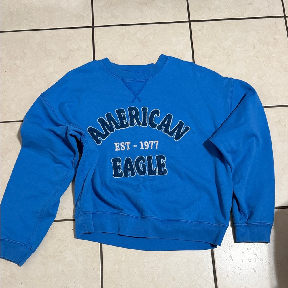 American Eagle Outfitters Vibrant Blue Crewneck Sweater